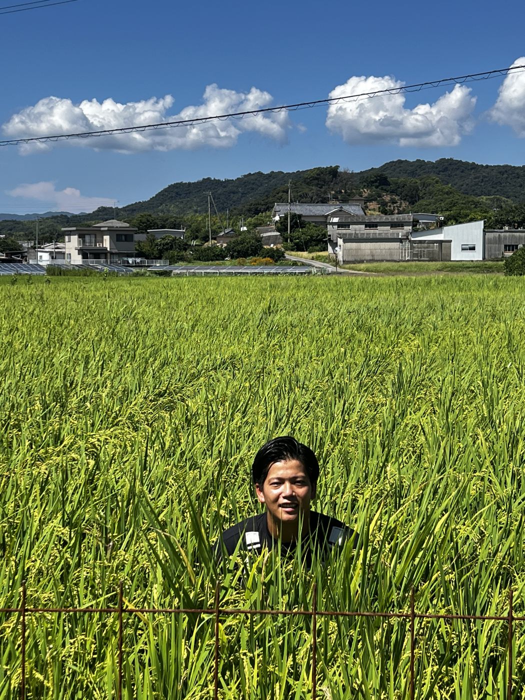 稲の中から顔を出す代表